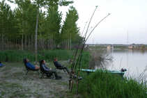 foto/diskuze/sumcarina/2011/th-img43267.jpg