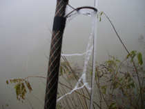 foto/diskuze/sumcarina/2011/th-img46042.jpg
