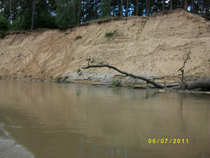 foto/diskuze/sumcarina/2012/th-img47017.jpg