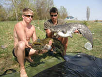 foto/diskuze/sumcarina/2012/th-img48272.jpg