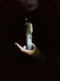 foto/diskuze/sumcarina/2012/th-img48943.jpg