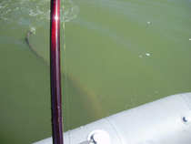foto/diskuze/sumcarina/2012/th-img50338.jpg