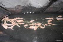 foto/diskuze/sumcarina/2012/th-img90346.jpg