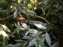 foto/diskuze/sumcarina/2013/th-img100294.jpg