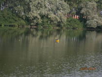 foto/diskuze/sumcarina/2013/th-img100302.jpg