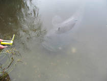 foto/diskuze/sumcarina/2013/th-img100913.jpg
