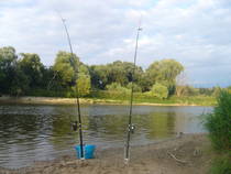 foto/diskuze/sumcarina/2014/th-img104839.jpg