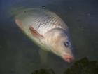 foto/diskuze/usti_nad_labem/2009/th-img23322.jpg