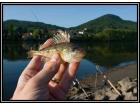 foto/diskuze/usti_nad_labem/2009/th-img23455.jpg