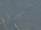 foto/diskuze/usti_nad_labem/2009/th-img23613.jpg