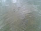 foto/diskuze/usti_nad_labem/2009/th-img24087.jpg