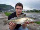 foto/diskuze/usti_nad_labem/2009/th-img24988.jpg