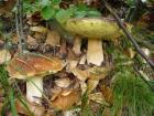 foto/diskuze/usti_nad_labem/2009/th-img25101.jpg