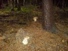 foto/diskuze/usti_nad_labem/2009/th-img25329.jpg