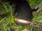foto/diskuze/usti_nad_labem/2009/th-img25407.jpg