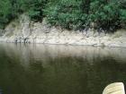 foto/diskuze/usti_nad_labem/2009/th-img25466.jpg