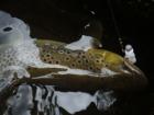 foto/diskuze/usti_nad_labem/2009/th-img26005.jpg