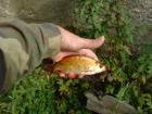 foto/diskuze/usti_nad_labem/2009/th-img26585.jpg