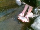 foto/diskuze/usti_nad_labem/2009/th-img26802.jpg