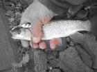 foto/diskuze/usti_nad_labem/2009/th-img26860.jpg