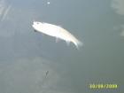 foto/diskuze/usti_nad_labem/2009/th-img26906.jpg