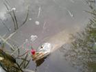 foto/diskuze/usti_nad_labem/2009/th-img27486.jpg