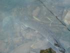 foto/diskuze/usti_nad_labem/2009/th-img27493.jpg