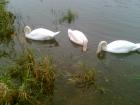 foto/diskuze/usti_nad_labem/2009/th-img28826.jpg