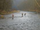 foto/diskuze/usti_nad_labem/2009/th-img28964.jpg