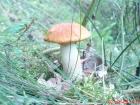 foto/diskuze/usti_nad_labem/2009/th-img29593.jpg
