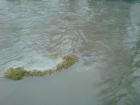 foto/diskuze/usti_nad_labem/2009/th-img29750.jpg