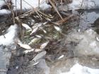 foto/diskuze/usti_nad_labem/2010/th-img30799.jpg