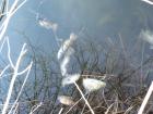 foto/diskuze/usti_nad_labem/2010/th-img32263.jpg