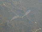 foto/diskuze/usti_nad_labem/2010/th-img32269.jpg