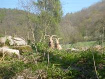 foto/diskuze/usti_nad_labem/2010/th-img33372.jpg