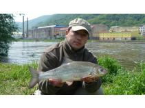 foto/diskuze/usti_nad_labem/2010/th-img34396.jpg