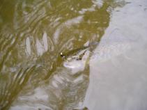 foto/diskuze/usti_nad_labem/2010/th-img34502.jpg
