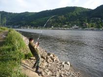 foto/diskuze/usti_nad_labem/2010/th-img35130.jpg