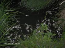 foto/diskuze/usti_nad_labem/2010/th-img36127.jpg