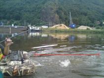foto/diskuze/usti_nad_labem/2010/th-img36285.jpg