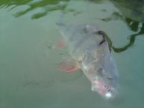 foto/diskuze/usti_nad_labem/2010/th-img37946.jpg