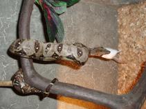 foto/diskuze/usti_nad_labem/2010/th-img38062.jpg