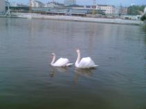 foto/diskuze/usti_nad_labem/2010/th-img38087.jpg
