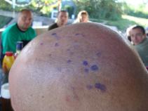 foto/diskuze/usti_nad_labem/2010/th-img38203.jpg