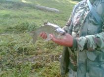 foto/diskuze/usti_nad_labem/2010/th-img38216.jpg