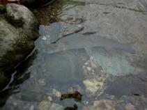 foto/diskuze/usti_nad_labem/2010/th-img38540.jpg