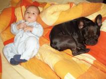 foto/diskuze/usti_nad_labem/2010/th-img38548.jpg