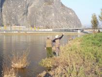 foto/diskuze/usti_nad_labem/2010/th-img38657.jpg