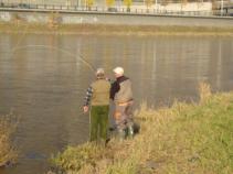 foto/diskuze/usti_nad_labem/2010/th-img38683.jpg