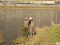 foto/diskuze/usti_nad_labem/2010/th-img38701.jpg